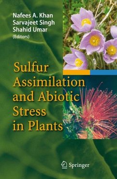 Sulfur Assimilation and Abiotic Stress in Plants - Khan, Nafees A. / Singh, Sarvajeet / Umar, Shahid (eds.)