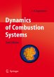 Dynamics of Combustion Systems - Bild 1