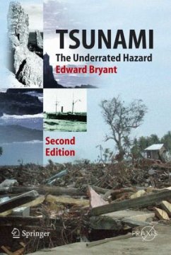 Tsunami - Bryant, Edward