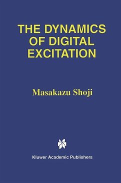 The Dynamics of Digital Excitation - Shoji, Masakazu