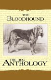 The Bloodhound - A Dog Anthology (A Vintage Dog Books Breed Classic)