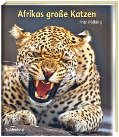 Afrikas große Katzen - Afrikas grosse Katzen