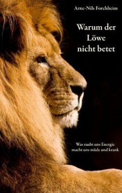 Warum der Löwe nicht betet - Forchheim, Arne-Nils