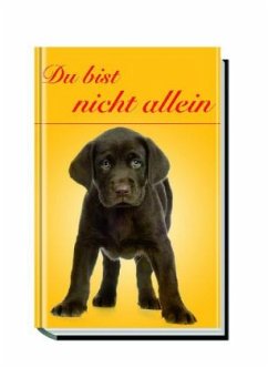 Cover Du bist nicht allein