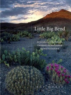 Little Big Bend - Morey, Roy