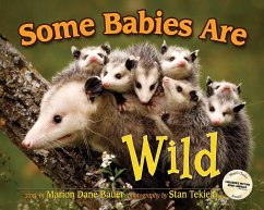 Some Babies Are Wild - Bauer, Marion Dane