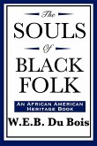 The Souls of Black Folk (An African American Heritage Book)