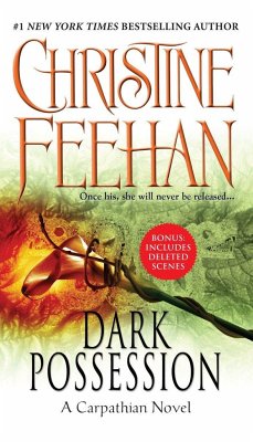 Dark Possession - Feehan, Christine