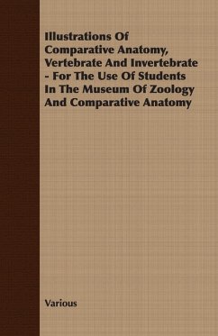 Illustrations of Comparative Anatomy, Vertebrate and Invertebrate - For the Use of Students in the Museum of Zoology and Comparative Anatomy