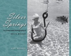 Silver Springs - Monroe, Gary