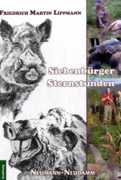 Siebenbürger Sternstunden - Lippmann, Friedrich M.