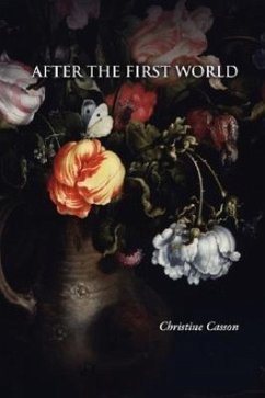 After the First World - Casson, Christine