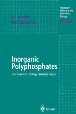 Inorganic Polyphosphates - Schröder, Heinz C. / Müller, Werner E.G. (eds.)