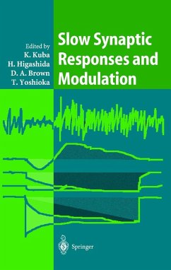 Slow Synaptic Responses and Modulation - Kuba, Kenji / Higashida, Haruhiro / Brown, David A. / Yoshioka, Tohru (eds.)