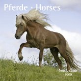 Pferde - T & C-Kalender 2009