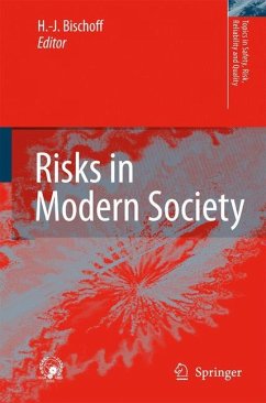 Risks in Modern Society - Bischoff, Hans-Jürgen (ed.)