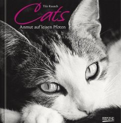 Cats - Rausch, Thilo