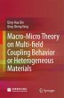 Macro-Micro Theory on Multifield... - Bild 1