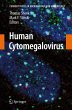 Human Cytomegalovirus - Bild 1