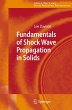 Fundamentals of Shock Wave Propagation... - Bild 1