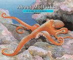 About Mollusks