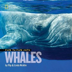 Face to Face with Whales - Nicklin, Flip