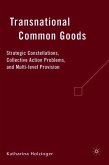 Transnational Common Goods: Strategic Constellations, Collective Action Problems, and Multi-Level Provision