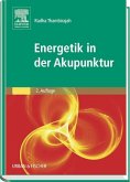 Energetik in der Akupunktur