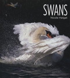 Swans - Helget, Nicole