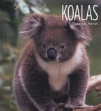 Koalas