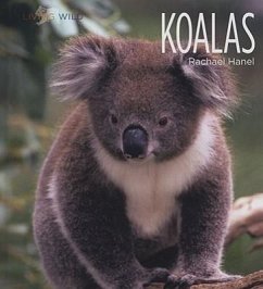 Koalas - Hanel, Rachael