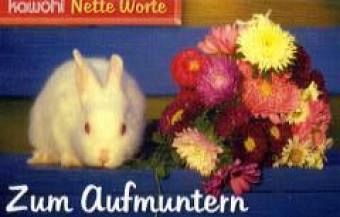 Nette Worte - Zum Aufmuntern