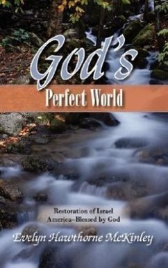 God's Perfect World - McKinley, Evelyn Hawthorne