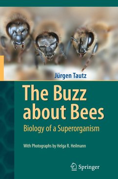 The Buzz about Bees - Tautz, Jürgen