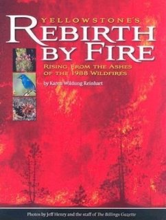 Yellowstone's Rebirth by Fire: Rising from the Ashes of the 1988 Wildfires - Reinhart, Karen Wildung