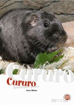 Cover Der Cururo