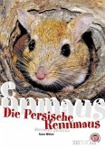 Persische Rennmaus Persische Rennmaus