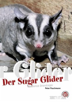 Der Sugar Glider - Puschmann, Peter