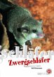 Zwergschläfer - Bild 1