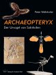 Archaeopteryx - Bild 1