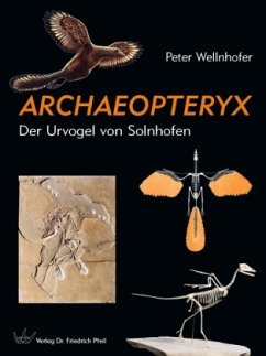 Archaeopteryx - Wellnhofer, Peter