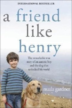 A Friend Like Henry - Gardner, Nuala