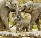 Die Elefanten zu Köln Die Elefanten zu Köln