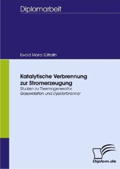Katalytische Verbrennung zur Stromerzeugung - Sütterlin, Ewald M.