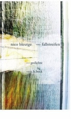 Fallstreifen - Bleutge, Nico