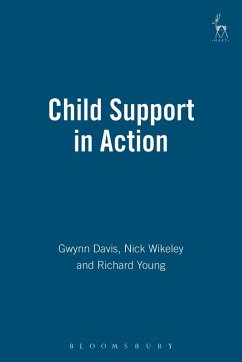 Child Support in Action Cover Child Support in Action