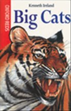 Big Cats