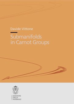 Submanifolds in Carnot Groups - Vittone, Davide