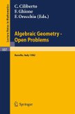 Algebraic Geometry - Open Problems Algebraic Geometry - Open Problems