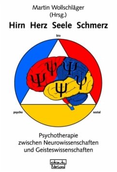 Cover Hirn - Herz - Seele - Schmerz